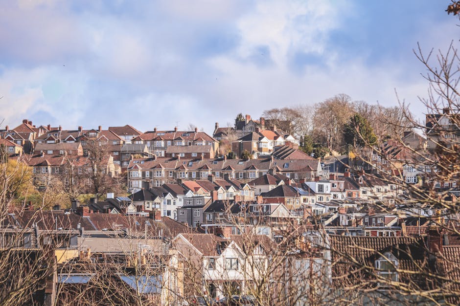 A panoramic view of a residential area with numerous terraced and semi-detached houses on a hillside, featuring a variety of pitched roofs covered in red, grey, and black tiles. The houses are constructed with brick and wood, with some displaying white or painted facades, and many have chimneys and small windows. In the foreground, leafless branches of trees partially obscure the view, suggesting a late autumn or early spring season with clear weather and patches of blue sky overhead. The scene is indicative of an urban neighbourhood where house removals and home relocation services, such as those provided by Sutton Removals, may involve careful packing, furniture transport, and loading processes to facilitate residential moves within or from this community.